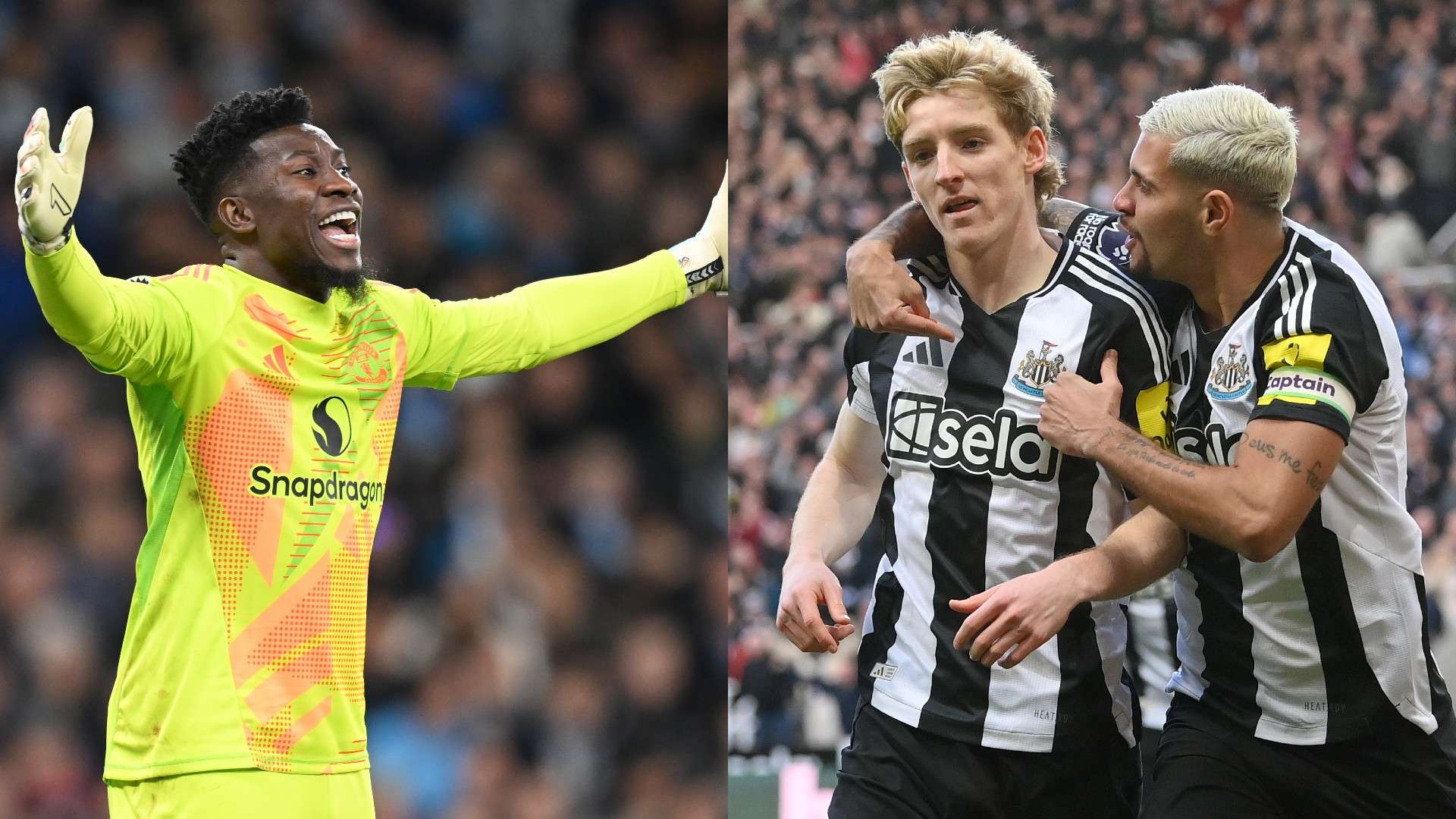 近年来崛起 近年来崛起