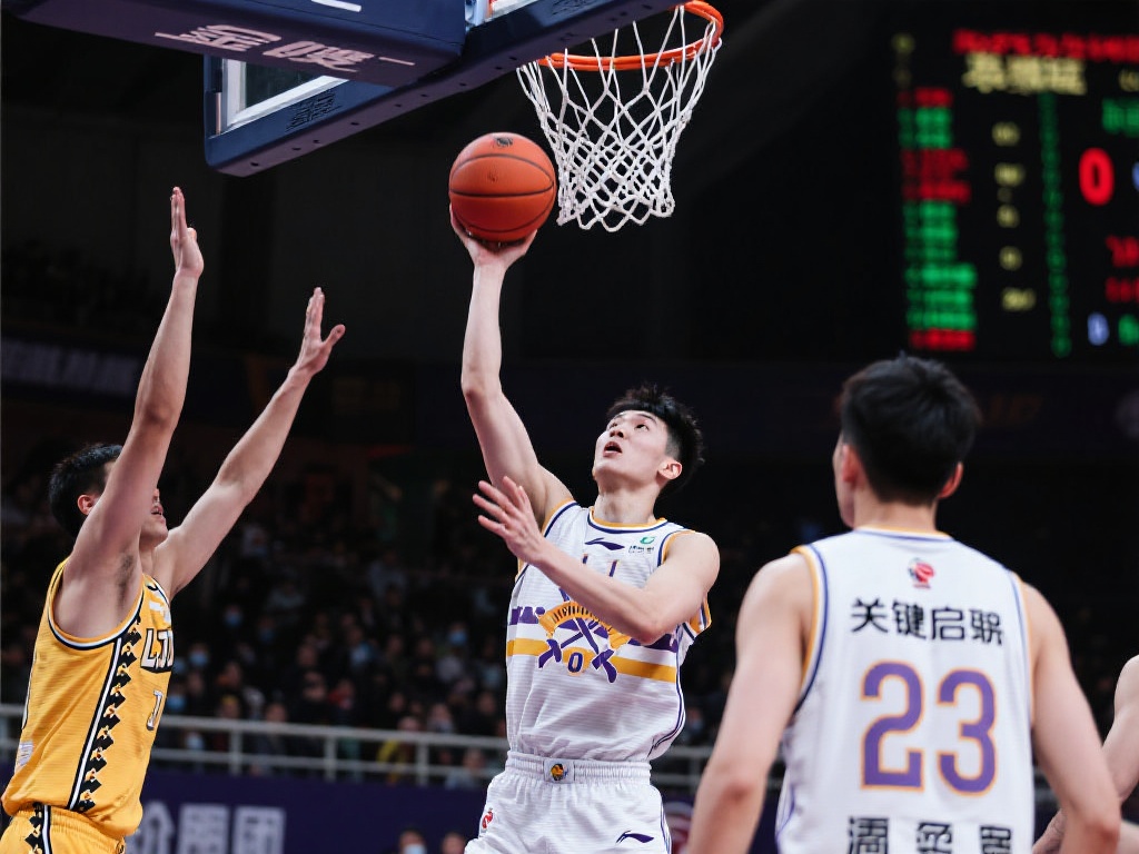 浙江队的团 浙江队的团